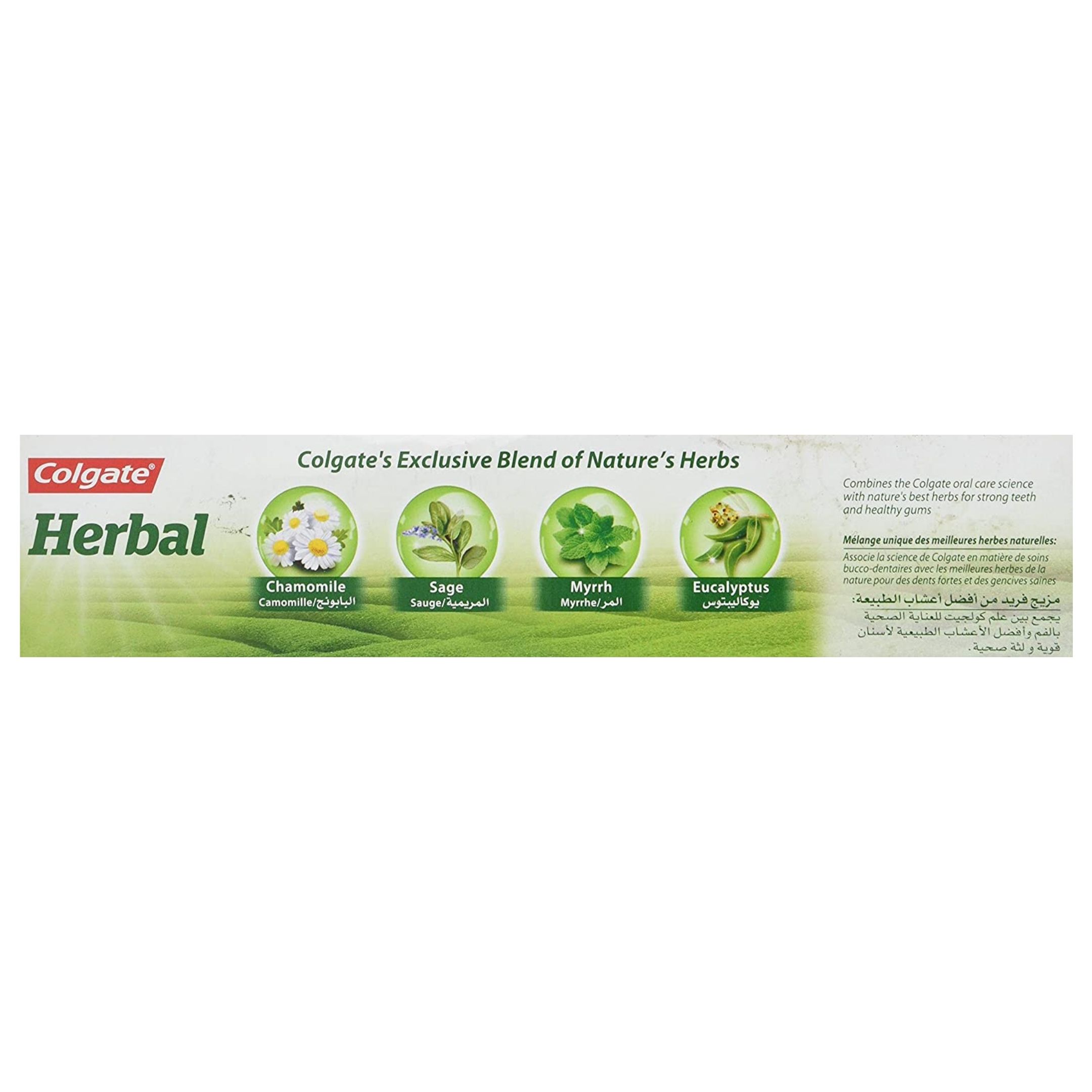 Colgate Herbal Toothpaste, 100ml - Dealzdxb