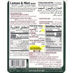 Master of Mixes Lemon & Mint Mixer, 1L - Image 3