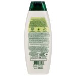 Palmolive Anti-Dandruff and Anti-Fall Green Tea Shampoo, 380 ml - Image 2