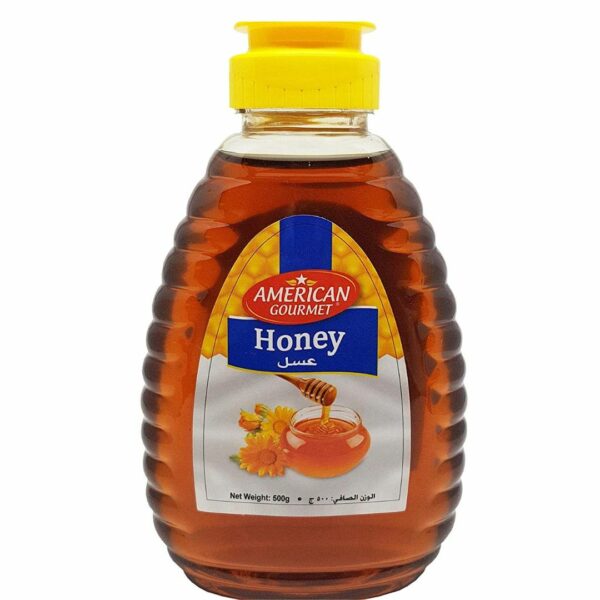 American Gourmet Honey Squeezy Bottle, 500g
