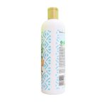 Inecto Natural Argan Shine Shampoo, 500ml - Image 2