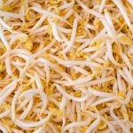 Amar Bean Sprout in Brine, 425g - Image 2