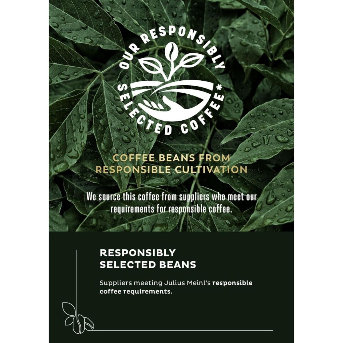 Julius Meinl Turkish Ground Coffee,450g - Image 8