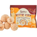 Bylilian Nature Farm Cheese Oats Chocolate,300g